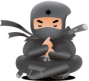 ninja-posticon