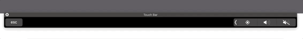 Touchbar_suggestive typing .gif