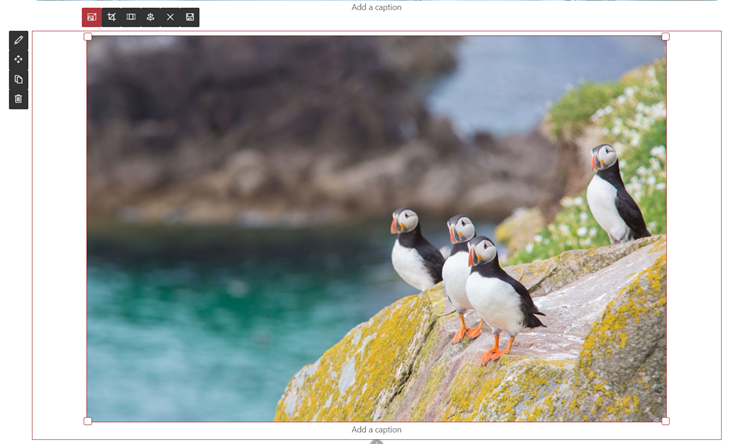 Resize an photo within the SharePoint Image web part; it retains the ratio of your choice across various screen sizes and resolutions.