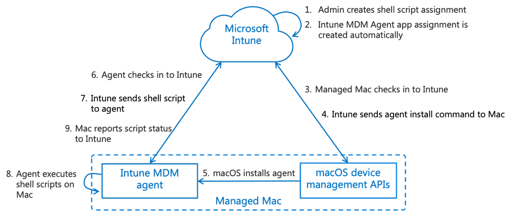 Overview of Mac scripting with Intune