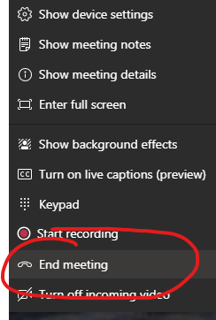 End Meeting option
