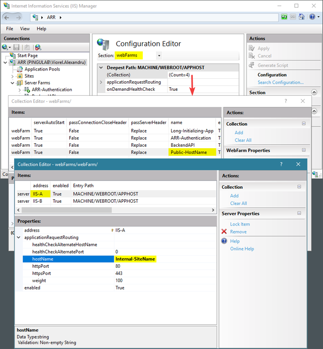 Change hostName for the selected farm node, under applicationRequestRouting