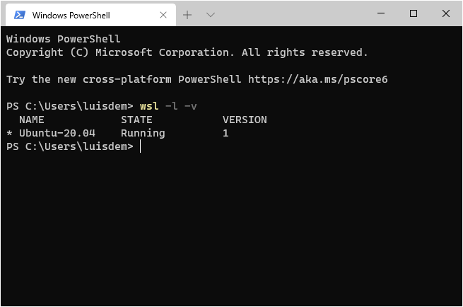 Using WSL2 in a Docker Linux container on Windows to run a Minecraft Java  Edition - Microsoft Community Hub