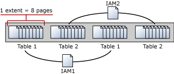 标题为 SQL Server IAM 页面的博客文章的缩略图 1
							
						
					
			
		
	
			
	
	
	
	
	
