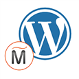 WordPress- Content Management System.png