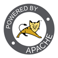 Apache Tomcat Server on CentOS 7.7.png