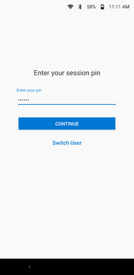 Fig 3. Session PIN entered