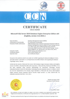 SQL19 on Windows certificate