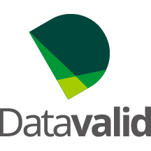 Information and Analysis Platform - Datavalid.png