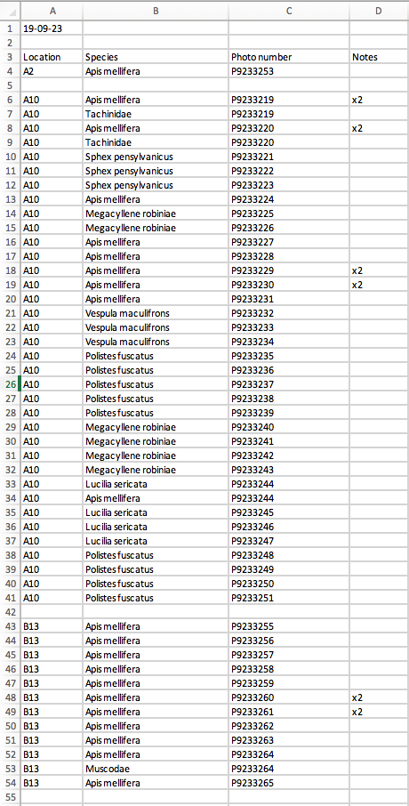 Sample Data from September 23, 2019