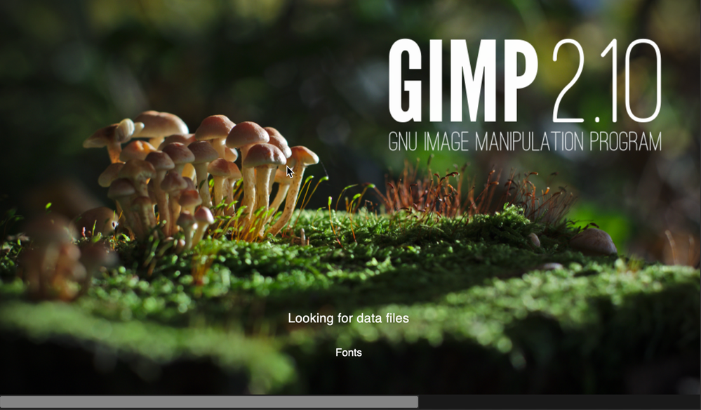 A screenshot of the GIMP splash screen