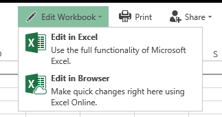 Worbook Options.PNG