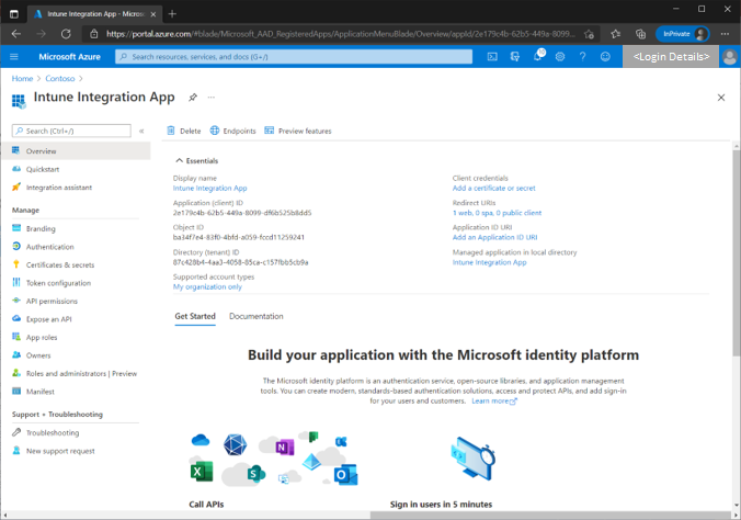 Figure 14 - Screenshot of an example Azure application and details under the Overview blade.