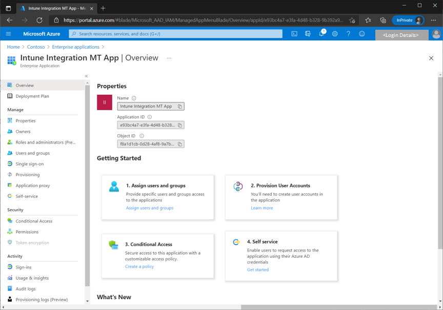 Figure 27 - Screenshot of an example Azure application and details under the Overview blade.
