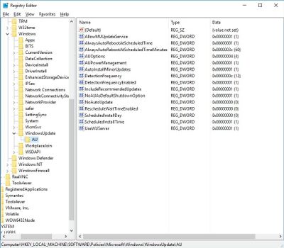 WindowsUpdateSettingsReg.jpg