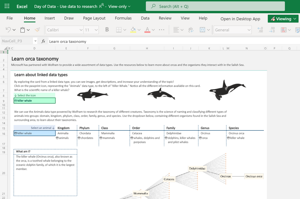 Excel "Day of Data: Orcas" template - Use data to research