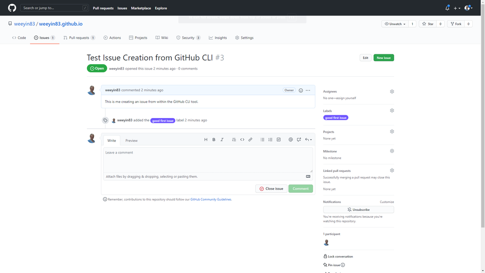 GitHub issue on the web