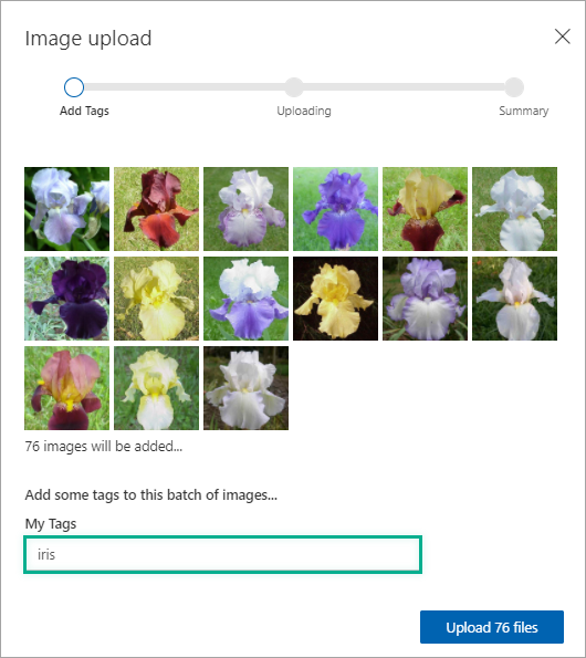 04-upload-iris-images.png