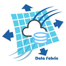 Data Fabric on Azure- 5-Wk Implementation.png