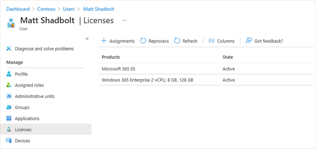 Screenshot of the same Azure AD admin center Licenses pane showing that the trial license no longer shows as being assigned to the user.