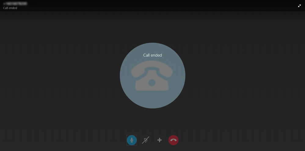 This screen appears after clicking the accept button on an incoming Skype call
