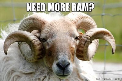 ram.jpeg