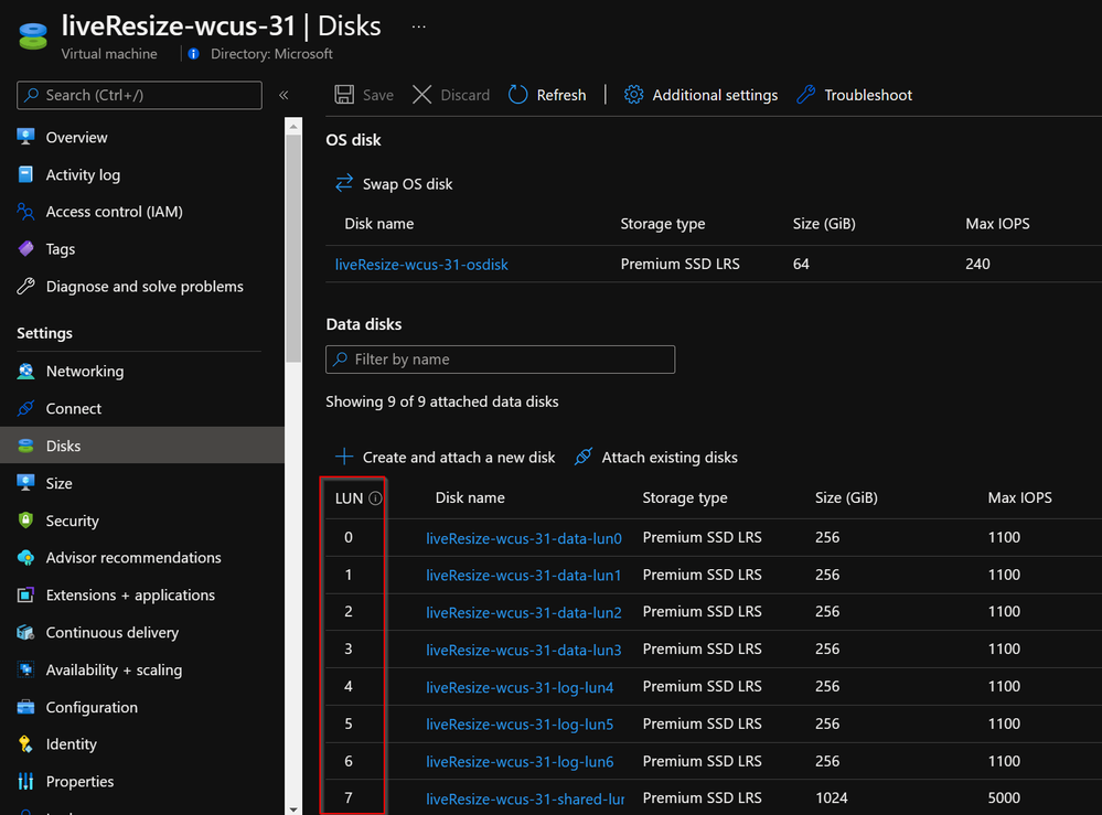 Figure 2 - Disk LUNs visible on the VM's disk blade