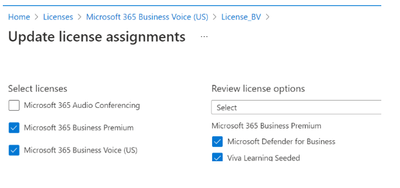 Screenshot of Azure Portal showing the license assignment for a selected group
