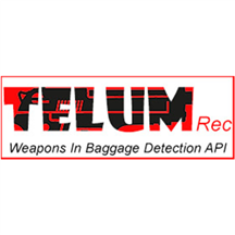 Weapons in Baggage Detection API.png