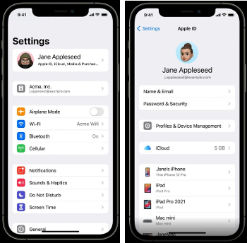 iOS Settings showing Apple ID that will be used in Profiles and Device Management.*
