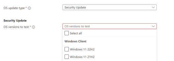 Select from a dropdown of different Windows 11 Security updates to configure your tests.