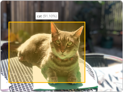 Object detection showing a cat with a 91.10% confidence score.