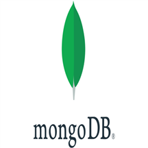 Data-in-use Encrypting MongoDB.png