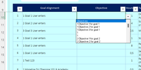 List 2- every objective for every goal in one list (Not Ideal)