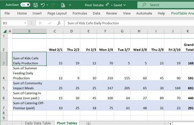 Excel Pivot Table.jpg