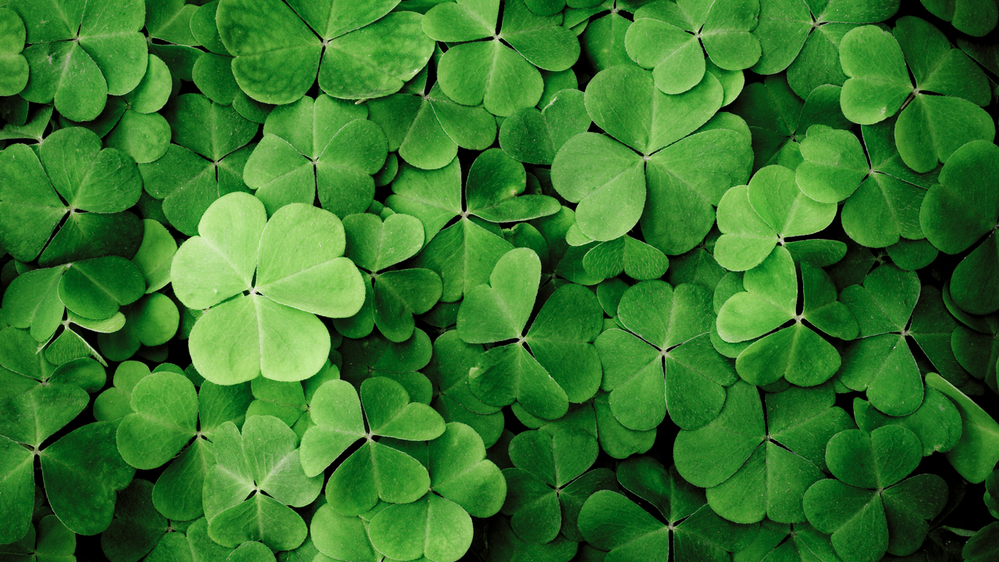 four-ways-to-be-green-this-stpatricksday.png