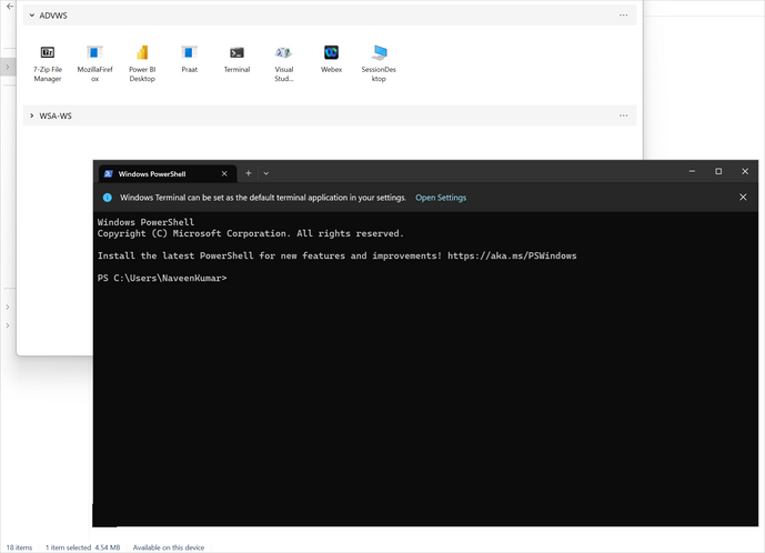 Screenshot of the Terminal application running in app attach mode