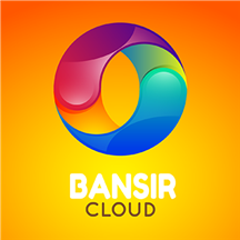 BANSIR LLC.png