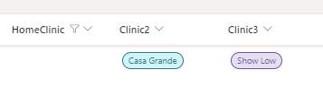 Clinic issue.PNG