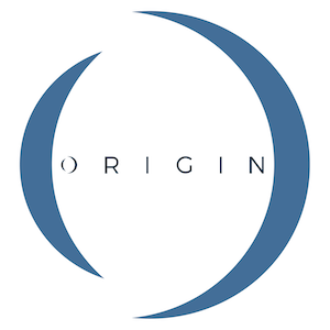 Origin Add-in.png