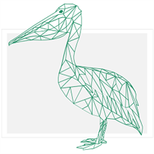 Pelican - The Data Validator.png