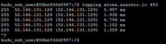 Img. 13 - Tcpping working as expected