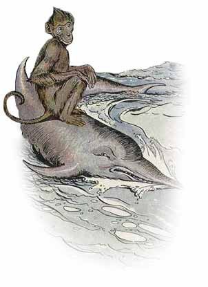 The monkey riding on the back of a dolphin to shore.