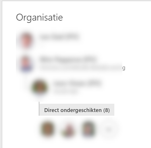 Delve Direct Reports label (in dutch)