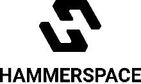 hammerspace logo.jpg