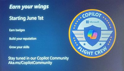Copilot Flight Crew: Earn Your Wings?
