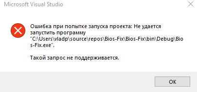 Error when trying to run the project: The application could not be starhat to do about this problem?