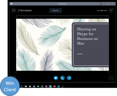 Screen sharing during an audio call - win perspective.png