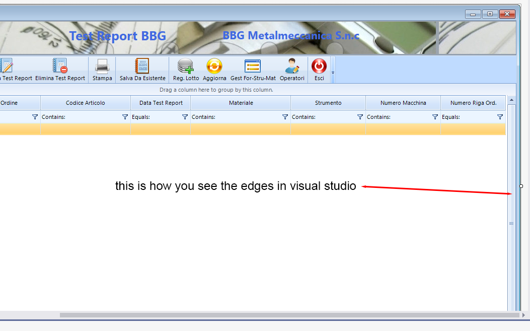 Form borders appearing different in visual studio and when the ...