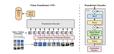 ViT architecture